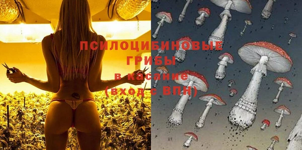 соль ск Инта