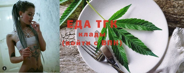 PSILOCYBIN Инсар