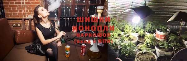 PSILOCYBIN Инсар