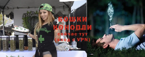PSILOCYBIN Инсар