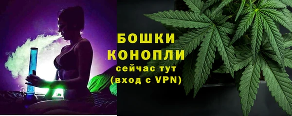 PSILOCYBIN Инсар