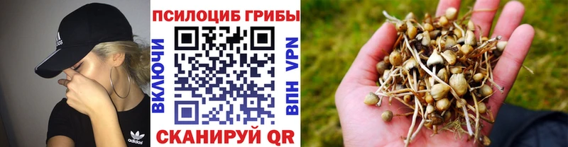 Псилоцибиновые грибы MAGIC MUSHROOMS Солнечногорск