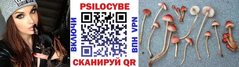 Галлюциногенные грибы мицелий сколько стоит Солнечногорск