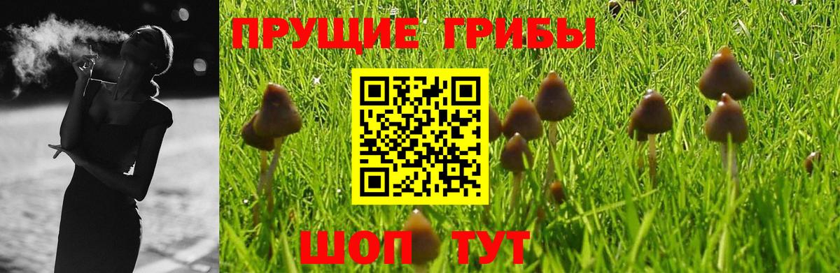 Галлюциногенные грибы мухоморы  Вход с VPN  сколько стоит  Солнечногорск 