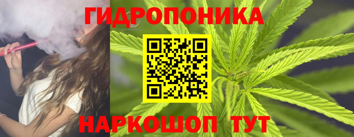 Конопля Amnesia  Бошки марихуана тримм  Солнечногорск 